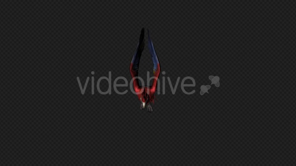 Parrot Fly Pack 4 In 1 Videohive 20476654 Motion Graphics Image 3