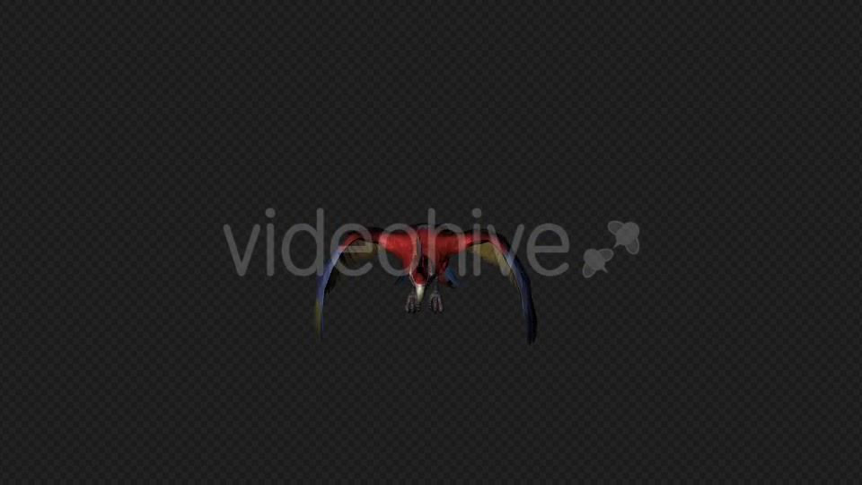 Parrot Fly Pack 4 In 1 Videohive 20476654 Motion Graphics Image 4