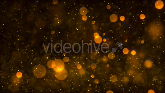 Particle Glitters Gold Videohive 21424288 Motion Graphics Image 4
