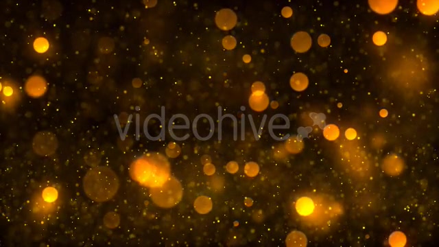 Particle Glitters Gold Videohive 21424288 Motion Graphics Image 5