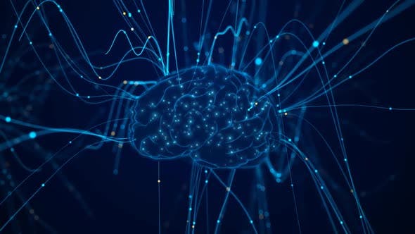Particles Converge On The Brain 4K 01 - Download 25230436 Videohive