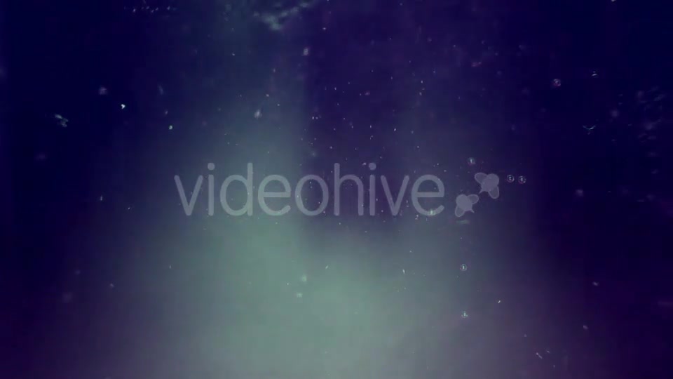 Particles In The Violet And Blue Water Videohive 16938086 Motion Graphics Image 10