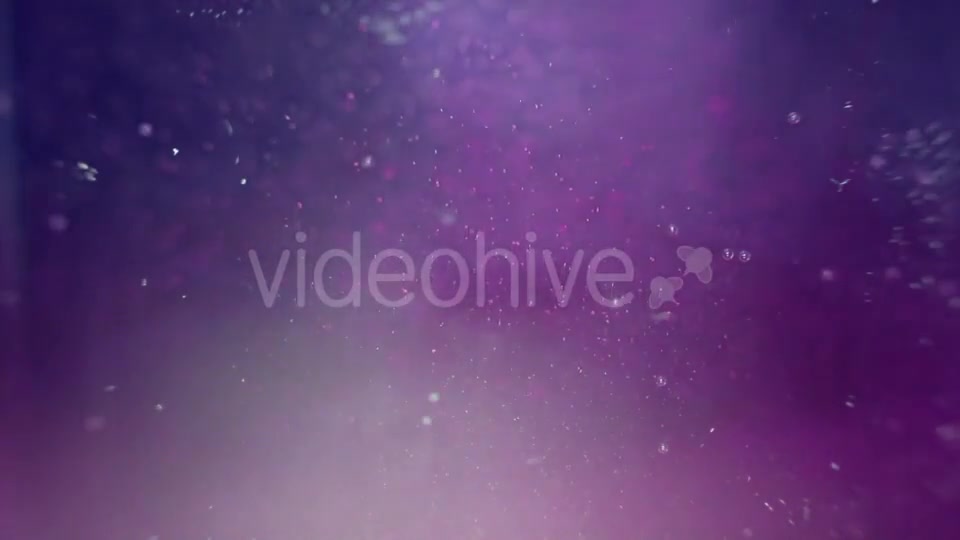 Particles In The Violet And Blue Water Videohive 16938086 Motion Graphics Image 2