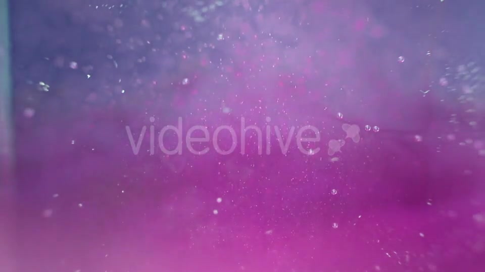 Particles In The Violet And Blue Water Videohive 16938086 Motion Graphics Image 3