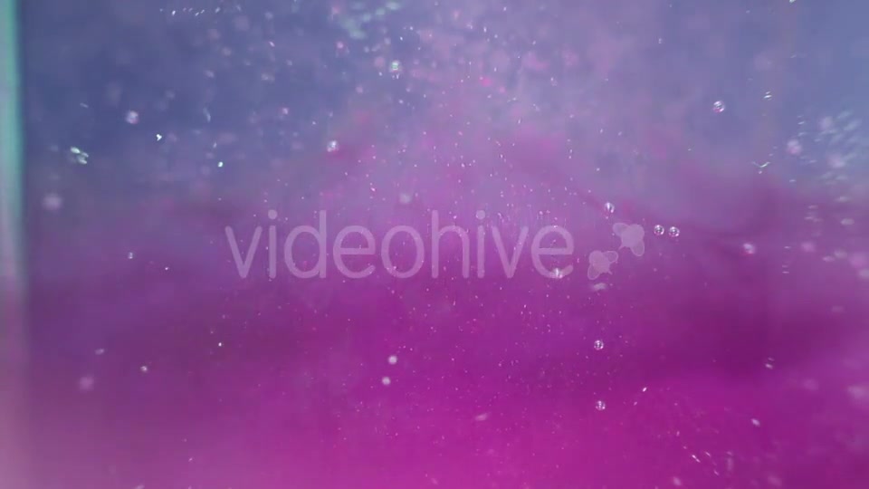 Particles In The Violet And Blue Water Videohive 16938086 Motion Graphics Image 4