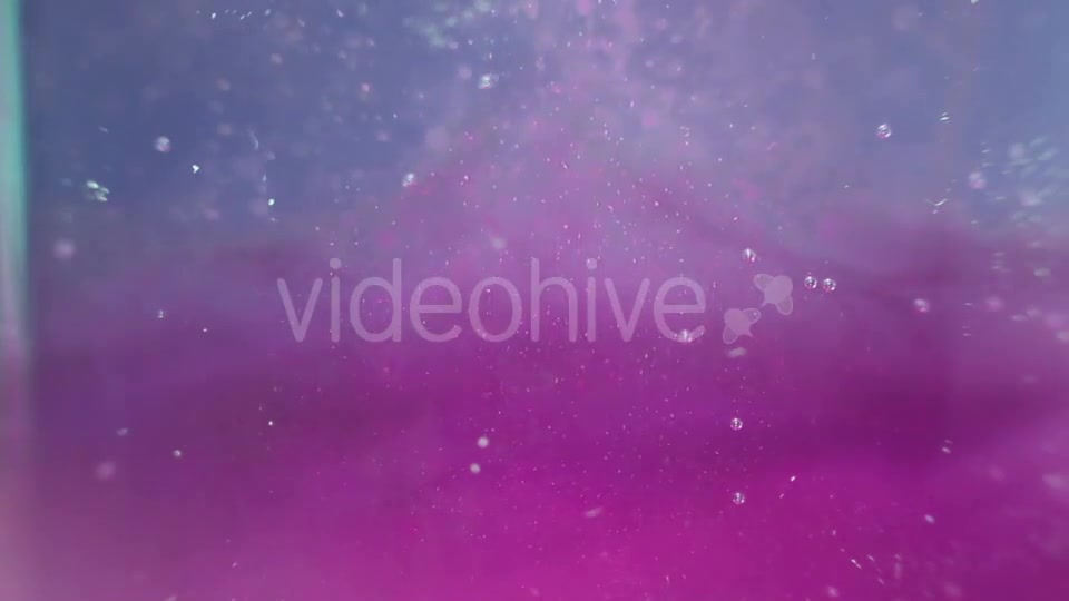 Particles In The Violet And Blue Water Videohive 16938086 Motion Graphics Image 5