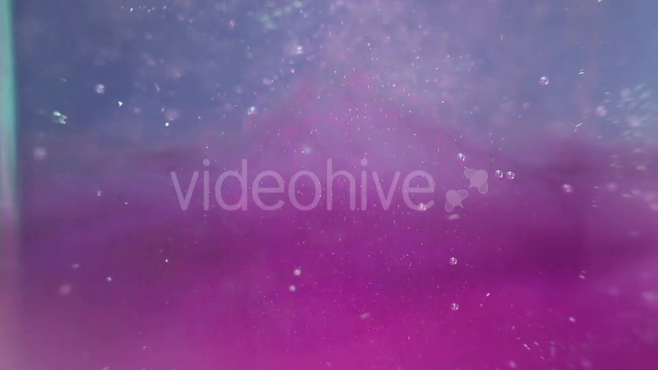 Particles In The Violet And Blue Water Videohive 16938086 Motion Graphics Image 6