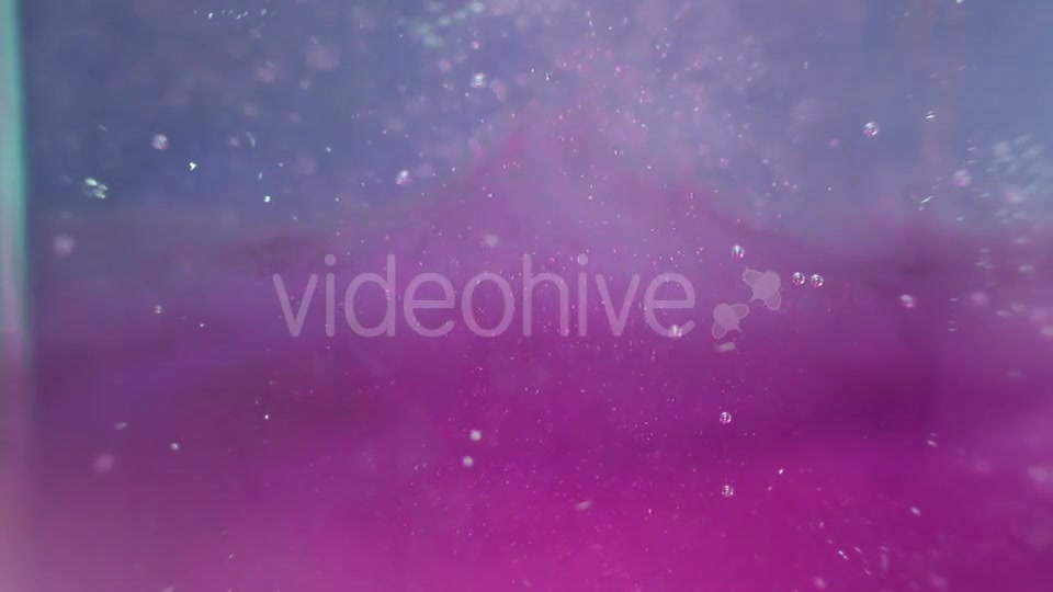 Particles In The Violet And Blue Water Videohive 16938086 Motion Graphics Image 7