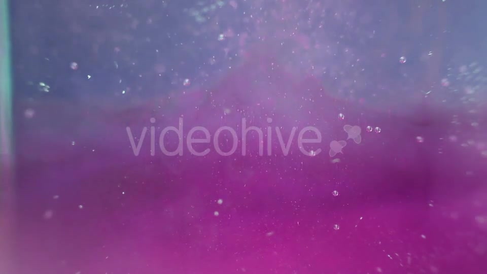 Particles In The Violet And Blue Water Videohive 16938086 Motion Graphics Image 8