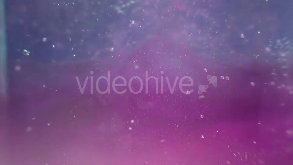 Particles In The Violet And Blue Water Videohive 16938086 Motion Graphics Image 9