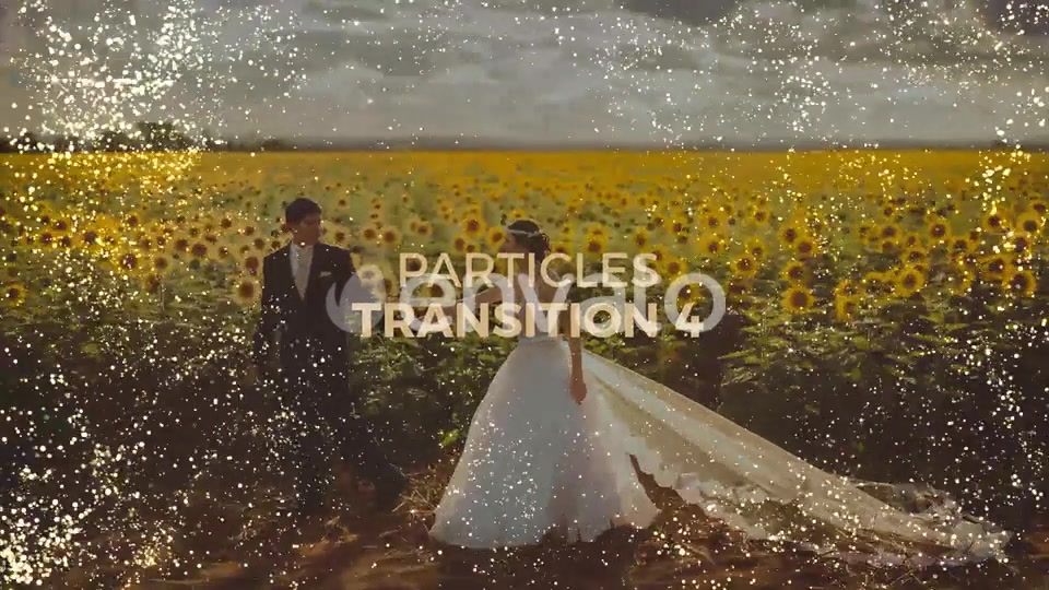 Particles Transitions Videohive 22772000 Motion Graphics Image 6
