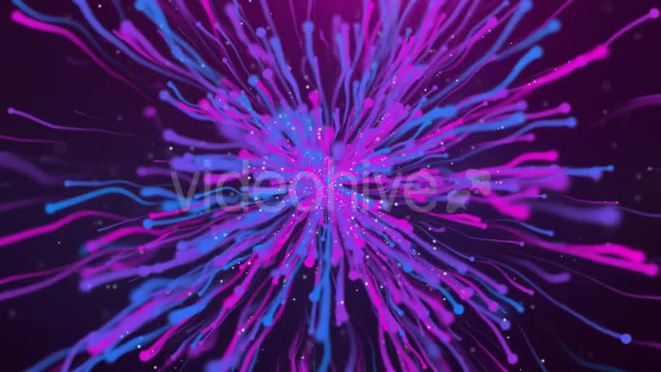 Paticle Tree Videohive 17309224 Motion Graphics Image 7