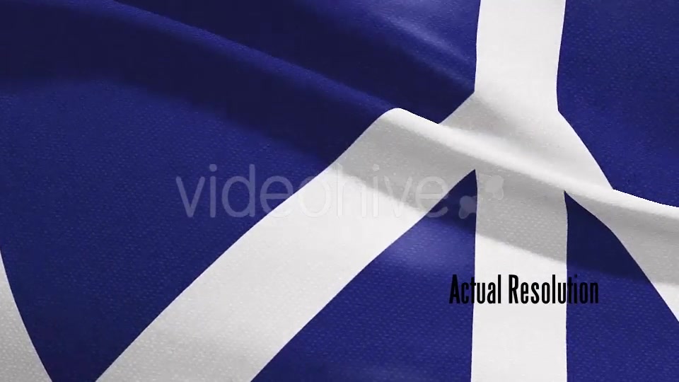Peace Protest Flag 4K Videohive 20213265 Motion Graphics Image 10