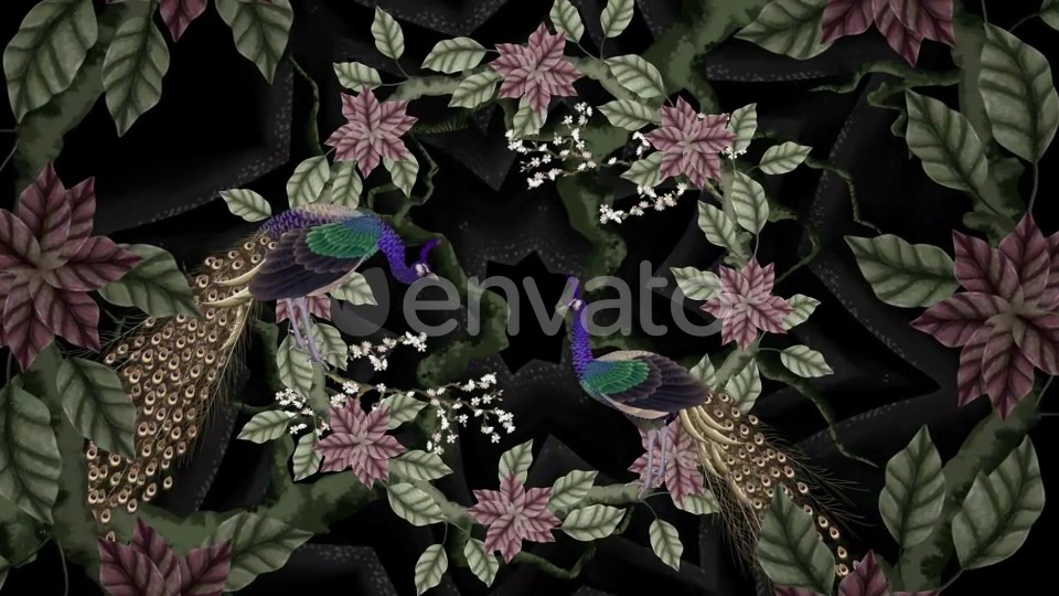 Peacock Art Painting Videohive 23220159 Motion Graphics Image 7
