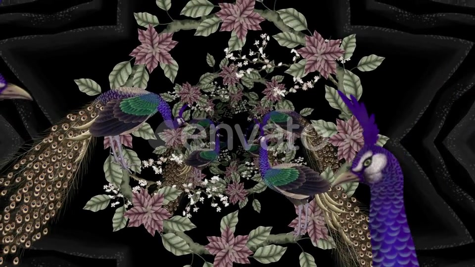 Peacock Art Painting Videohive 23220159 Motion Graphics Image 8