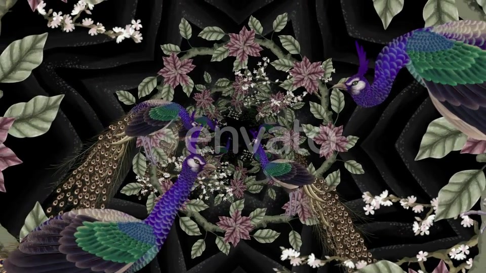 Peacock Art Painting Videohive 23220159 Motion Graphics Image 9