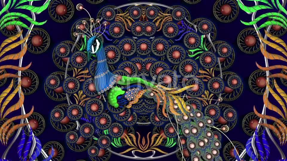 Peacock Dance Videohive 23795396 Motion Graphics Image 1