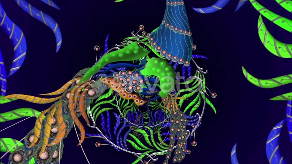 Peacock Dance Videohive 23795396 Motion Graphics Image 3