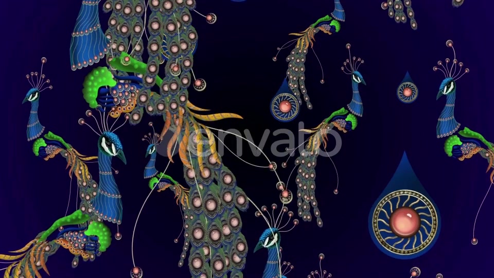 Peacock Dance Videohive 23795396 Motion Graphics Image 7
