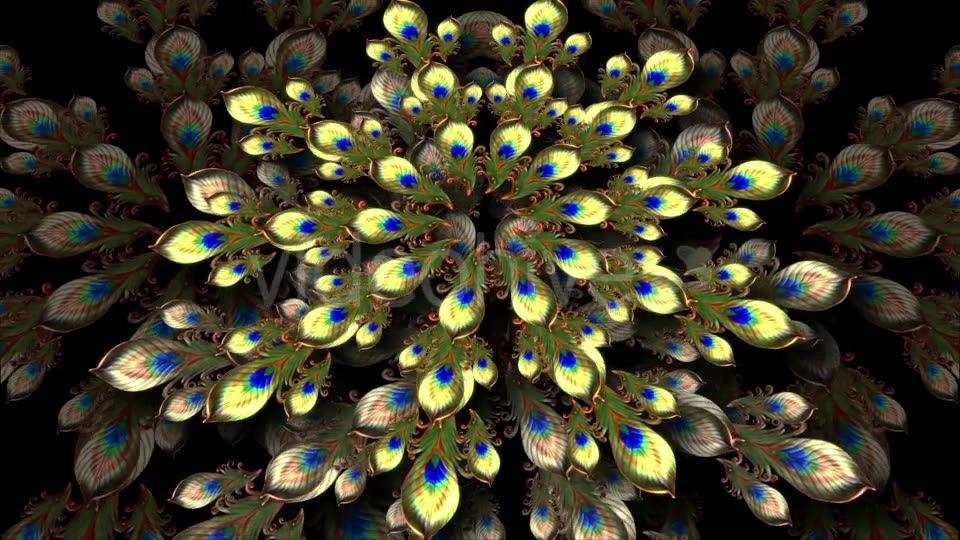 Peacock Videohive 20386900 Motion Graphics Image 3