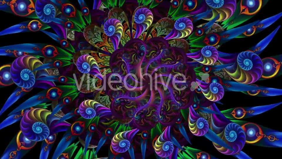Peacock Ethnic Kaleido Videohive 19492209 Motion Graphics Image 6