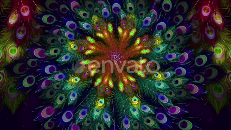 Peacock Feather Background Videohive 21877896 Motion Graphics Image 1