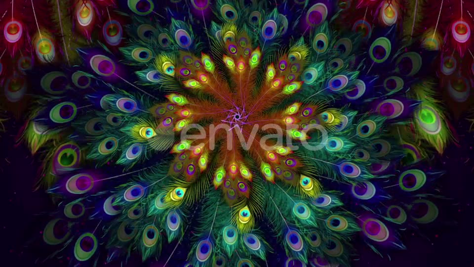Peacock Feather Background Videohive 21877896 Motion Graphics Image 2