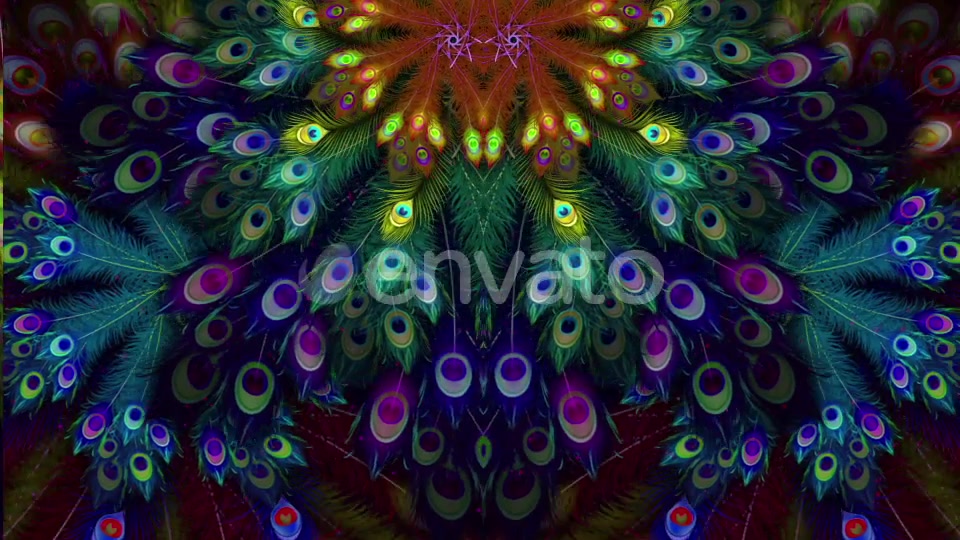 Peacock Feather Background Videohive 21877896 Motion Graphics Image 3