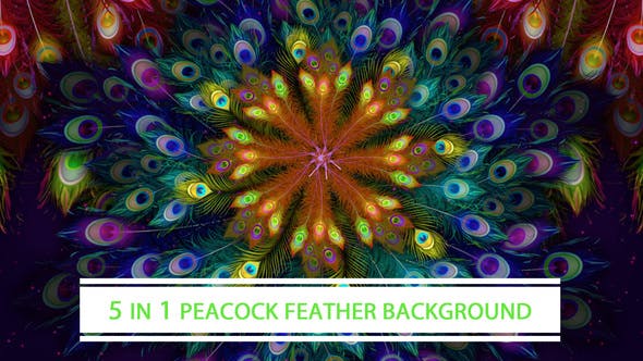 Peacock Feather Background - 21877896 Download Videohive