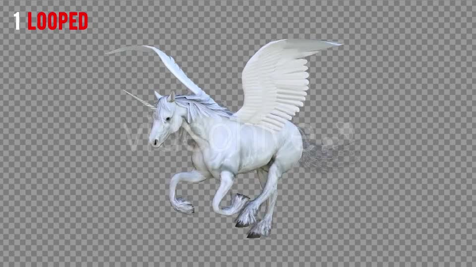Pegasus 3 Realistic Pack 3 Videohive 21352408 Motion Graphics Image 1