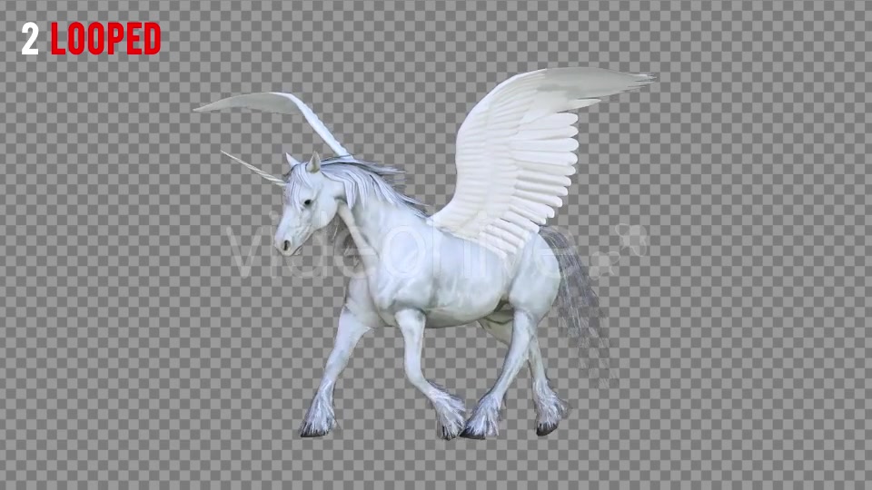 Pegasus 3 Realistic Pack 3 Videohive 21352408 Motion Graphics Image 4