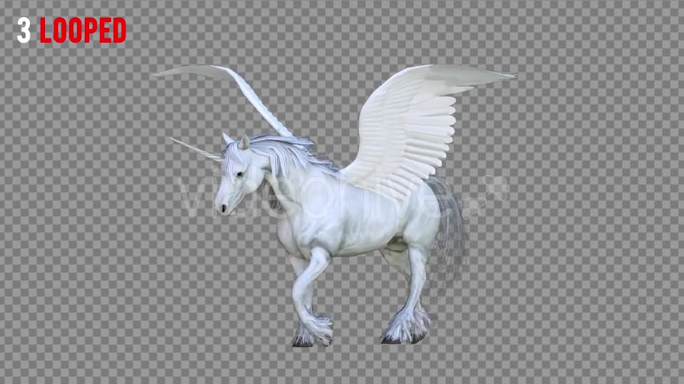 Pegasus 3 Realistic Pack 3 Videohive 21352408 Motion Graphics Image 5