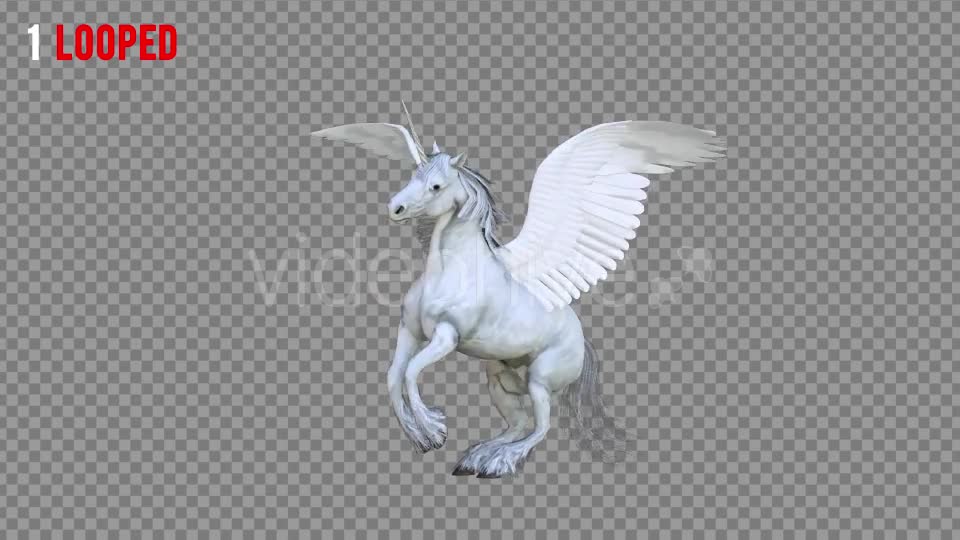 Pegasus Realistic Pack 3 Videohive 21349799 Motion Graphics Image 1