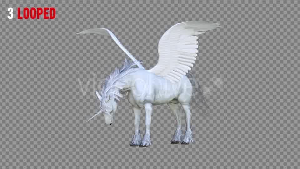 Pegasus Realistic Pack 3 Videohive 21349799 Motion Graphics Image 10
