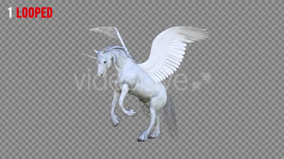 Pegasus Realistic Pack 3 Videohive 21349799 Motion Graphics Image 2