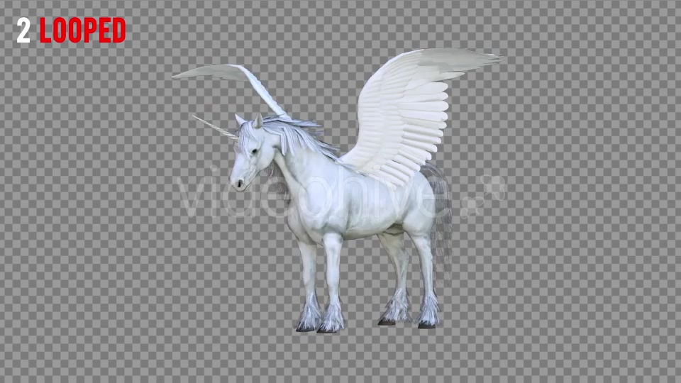 Pegasus Realistic Pack 3 Videohive 21349799 Motion Graphics Image 3