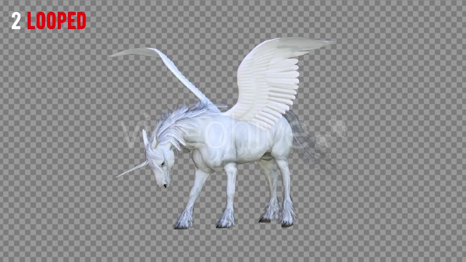 Pegasus Realistic Pack 3 Videohive 21349799 Motion Graphics Image 4