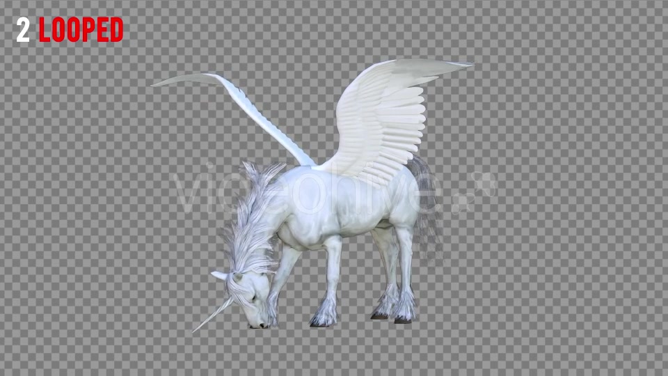 Pegasus Realistic Pack 3 Videohive 21349799 Motion Graphics Image 5