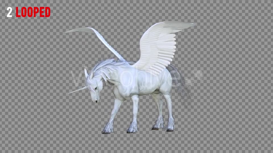 Pegasus Realistic Pack 3 Videohive 21349799 Motion Graphics Image 6