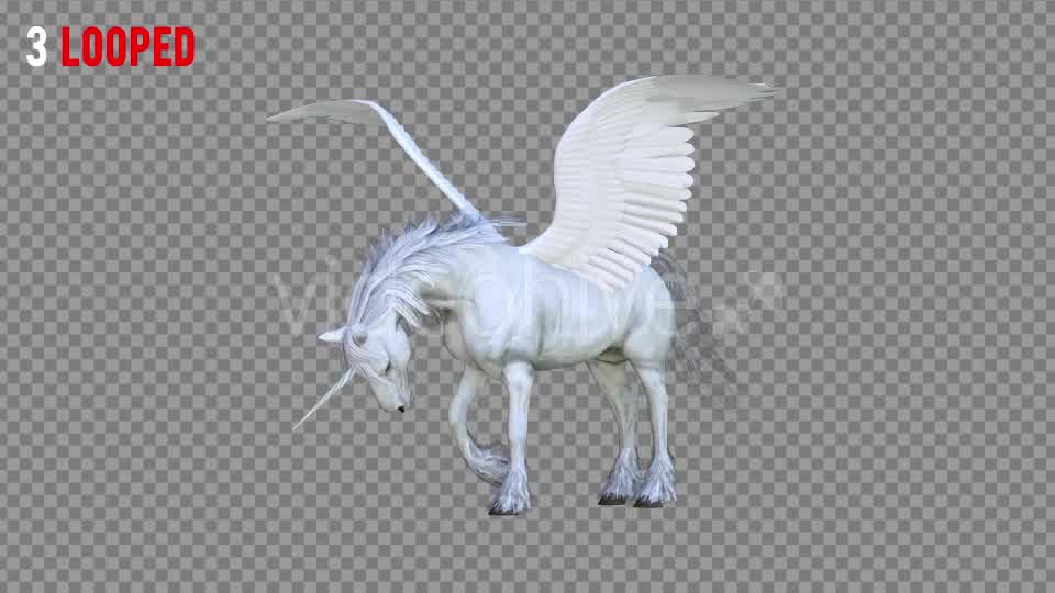 Pegasus Realistic Pack 3 Videohive 21349799 Motion Graphics Image 8