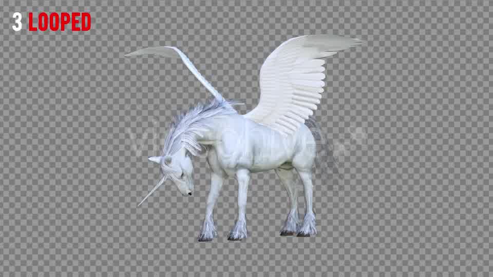 Pegasus Realistic Pack 3 Videohive 21349799 Motion Graphics Image 9