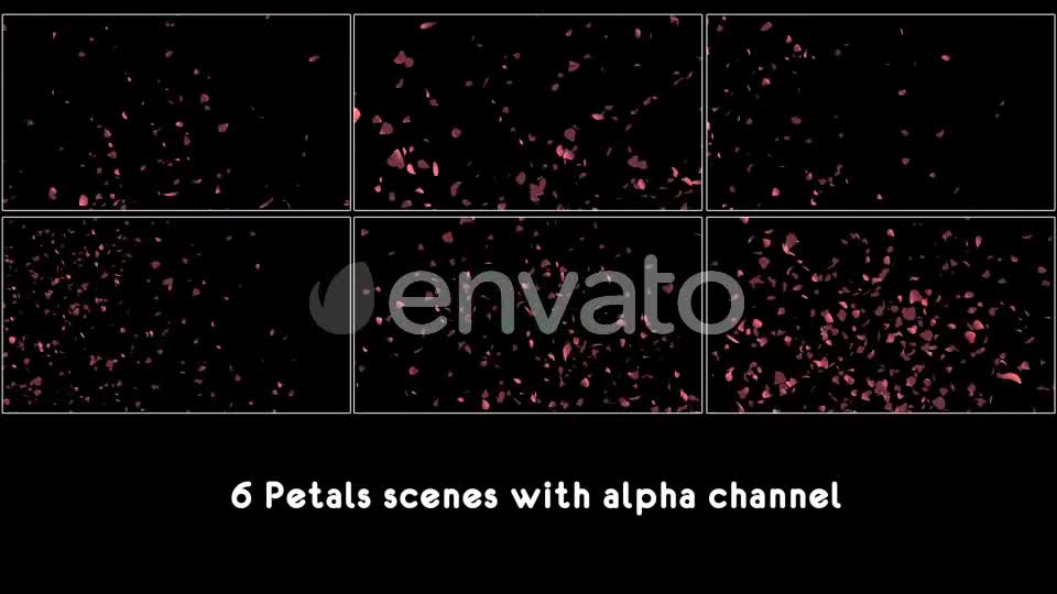 Petals Pack Videohive 21783907 Motion Graphics Image 1