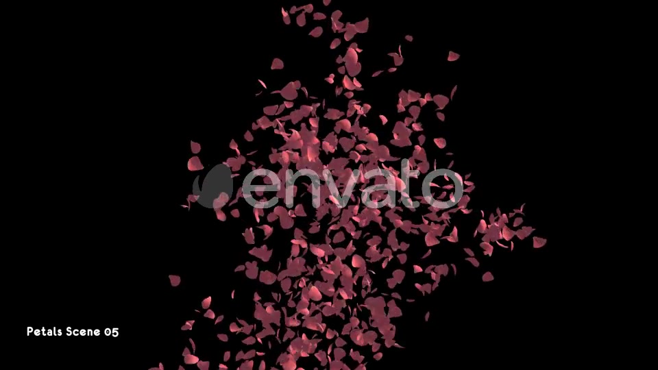 Petals Pack Videohive 21783907 Motion Graphics Image 10