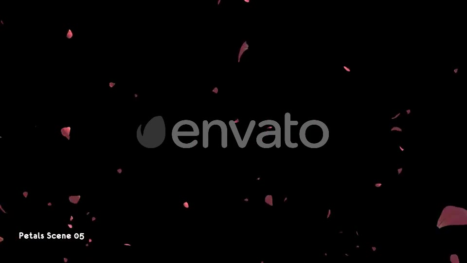 Petals Pack Videohive 21783907 Motion Graphics Image 11