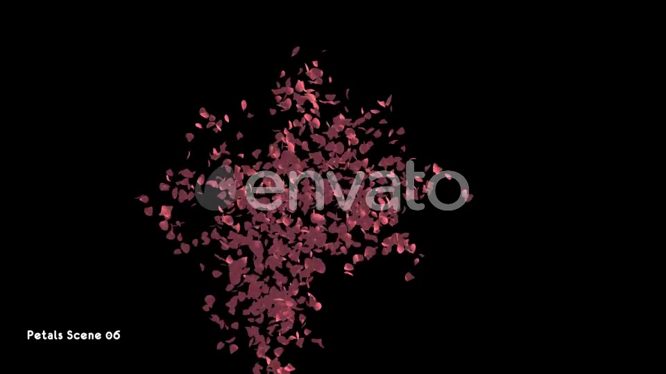 Petals Pack Videohive 21783907 Motion Graphics Image 12