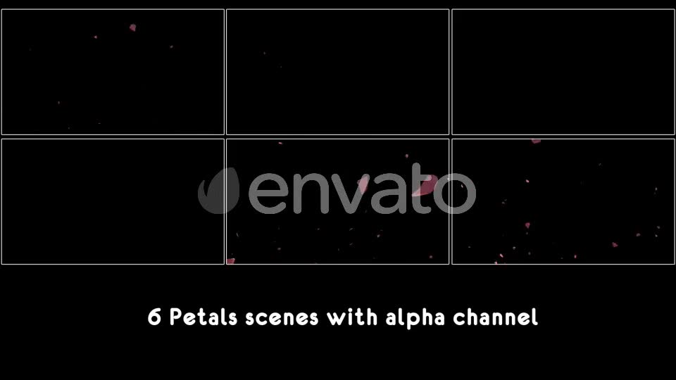 Petals Pack Videohive 21783907 Motion Graphics Image 2