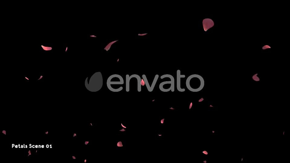 Petals Pack Videohive 21783907 Motion Graphics Image 3