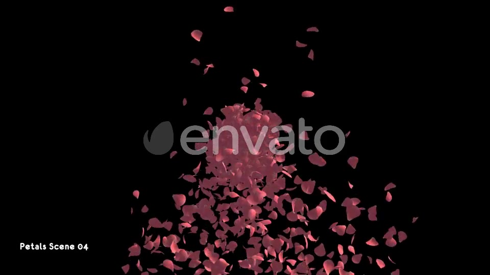 Petals Pack Videohive 21783907 Motion Graphics Image 8