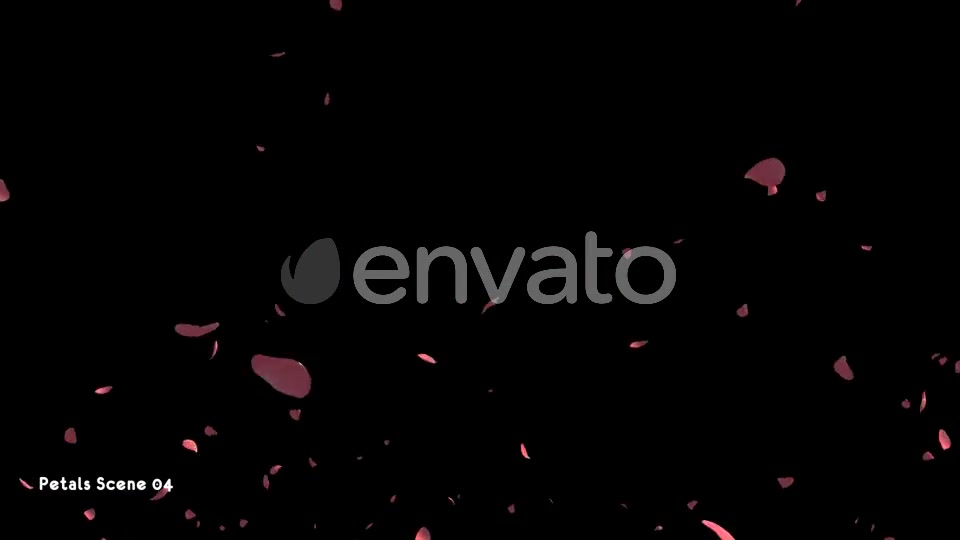 Petals Pack Videohive 21783907 Motion Graphics Image 9