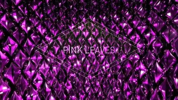Pink Leaves - 19261757 Download Videohive